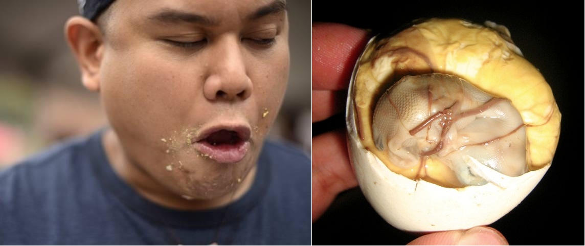 Duck Embryo